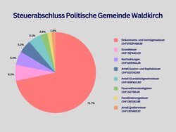 Steuerabschluss Waldkirch